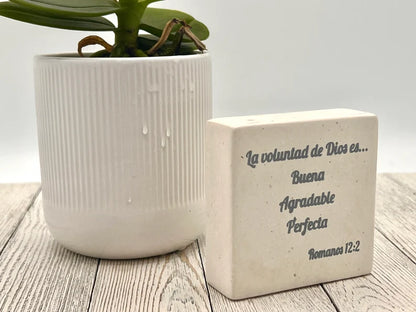 Hand-Carved Soapstone Scripture 3" by 3" - Bible Verse Romanos 12:2 - Español